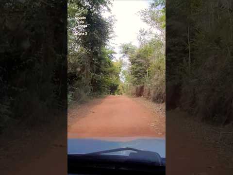 Estrada Rural Joanésia #shorts