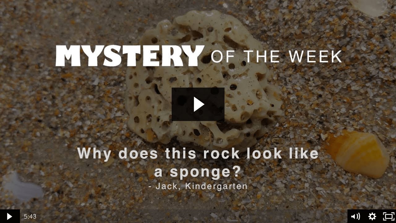 Why does this rock look like a sponge