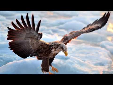 Daniel Kandi VS Solarstone Trance Mix!!! (Teaser #2)