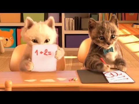Divertido Gatito Mascota Cuidado - Gatos Preescolar - Jugar Juegos Educativos Para Niños
