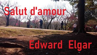 Download lagu 愛の挨拶　エドワード　エルガー　Salut d'Amour　Edward Elgar mp3
