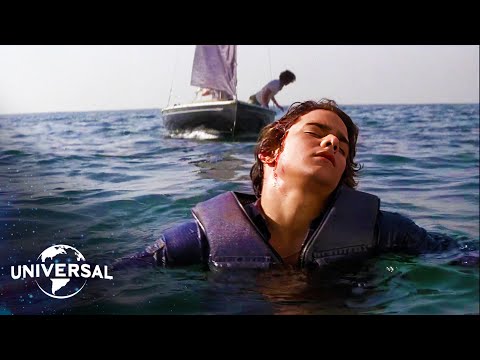 Thumbnail of the video: The Terrifying Sail Boat Attack