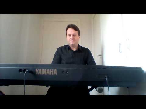 Laurent Fontanel Piano cover Tous les cris, les SOS Daniel Balavoine