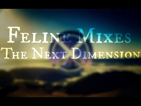 FELINE - The Next Dimension | Bass House