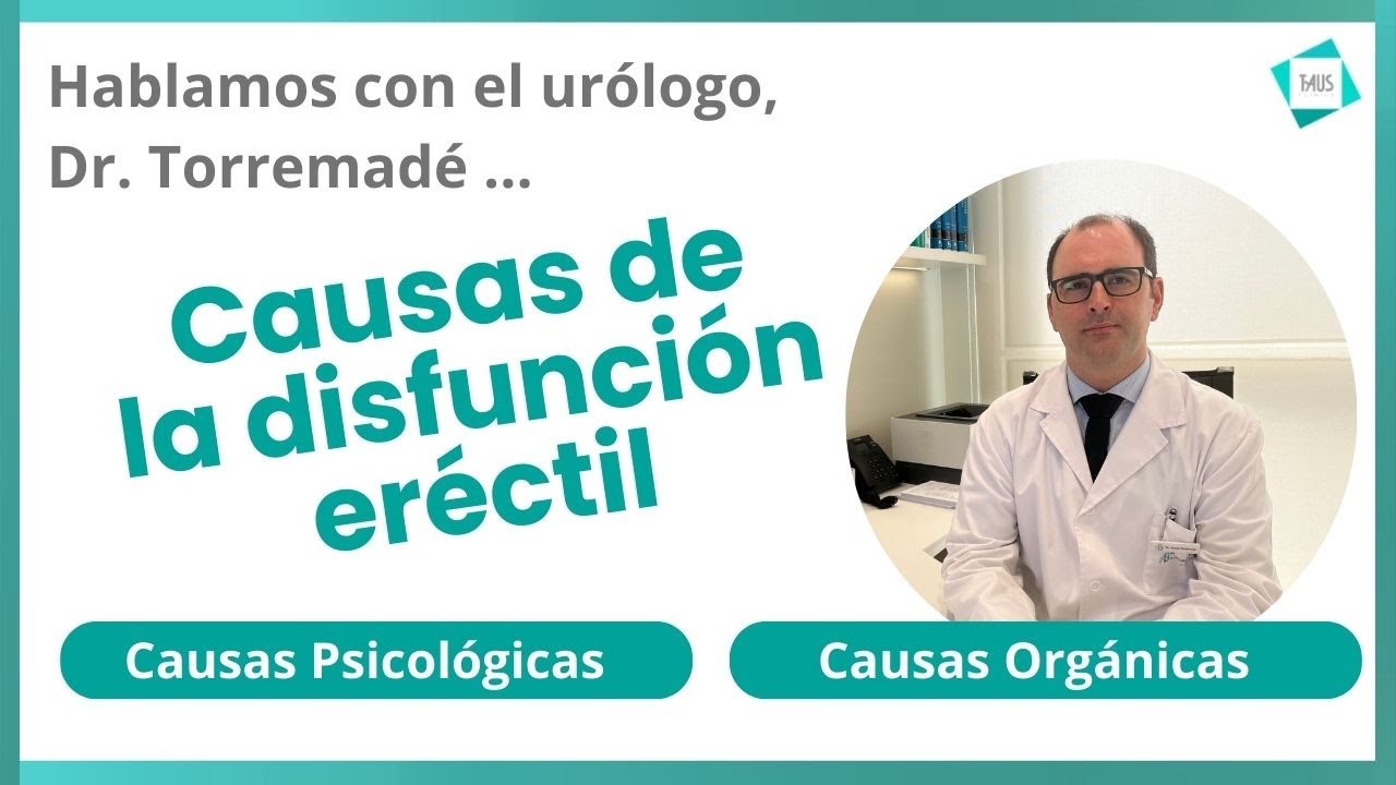 Josep Torremadé Barreda-15