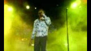 Vida animal nocturna - la union