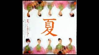 ヒカシュー - イルカは笑う (HIKASHU)