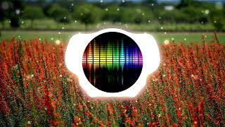 🎵 MIIA - Celebrate Your Life.🎧 Sound Motion.