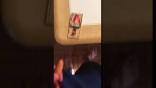 Adult Circumcision Tutorial