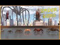 How BIG Are SPIDERS Real Vs Movie Spiders EPIC Size Comparison 3D ️