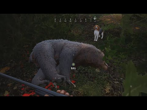 Hunting Simulator 2 EP. 2 "The Great Bear Chase"