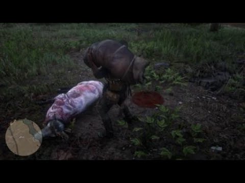 Red Dead Redemption 2 Hirsch zerlegen