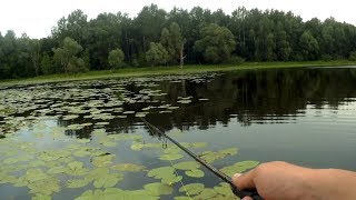 Приманки для ловля окуня на спиннинг