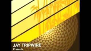jay tripwire feat alexander east "do me this way" (demension mix)