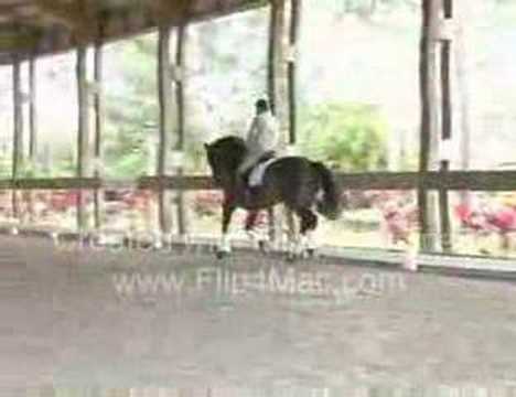 Piaffe Performance Farms