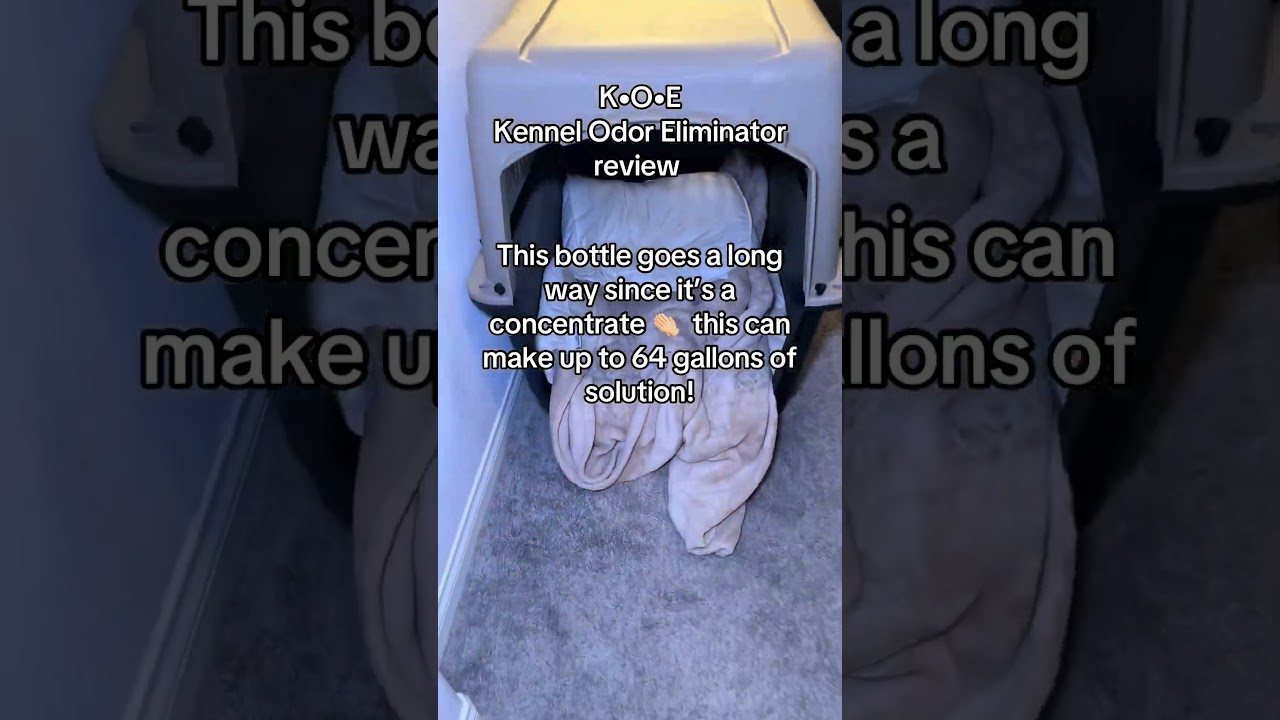 Top Deodorizers to Eliminate Dog Smell at Home #fok #deodorizer