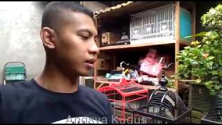 Download lagu Trucukan koleksi Om Cleon Kudus mp3