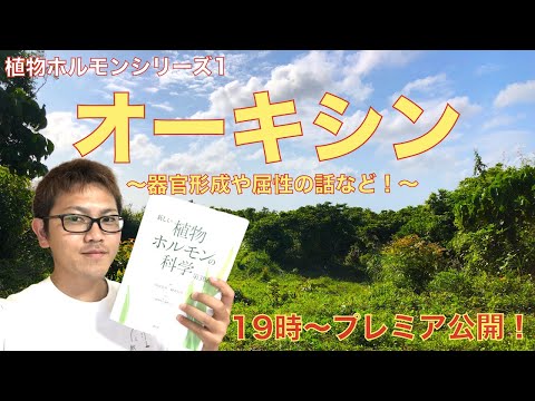 オーキシンが植物を成長させるしくみ