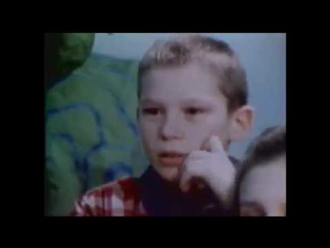 Jane Elliot's blue/brown eye experiment