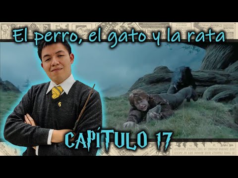 17 El Perro El Gato Y La Rata - Harry Potter El Prisionero De Azkaban