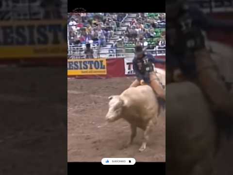 Cody Hart was an IMPRESSIVE ride aboard Promise Land in 1998