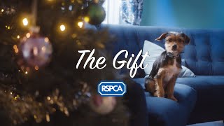 The Gift | RSPCA | Christmas Ad 2021