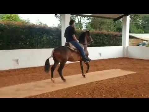 Lucas Echeverry, disfruta de Maremoto de Dos Aguas