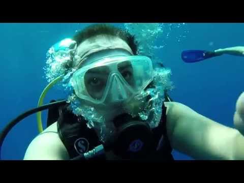 somaya loggerhead turtle release