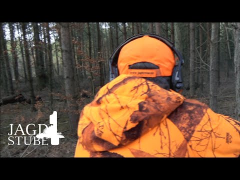 Kahle Drückjagd 2021 in der Oberförsterei Podanin