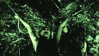 Dark Apostle - The Judas Cradle