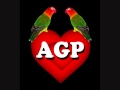 Corre Corazón - Agapornis 