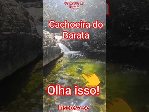 Serra do Tepequem no Amajari # #vlog