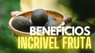 Os Incríveis benefícios do Abacate para a Saúde.