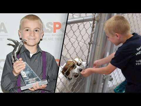The Heartwarming Story of a Boy That Saved 1,300 Dogs