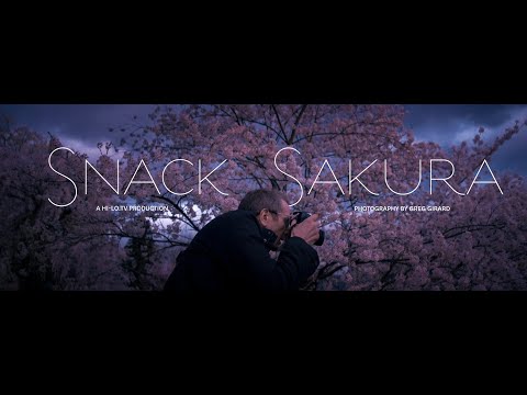 Snack Sakura