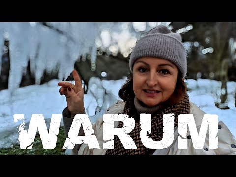 Mein dümmster Gartenfehler & ich spinne wirklich