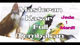 Download lagu Masteran Burung Kasar Full Tembakan Jeda 1 Menit mp3