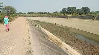 preview picture of video 'No fencing in Canal all over MP causing accidental cases, No security here,  sign of corruptions'