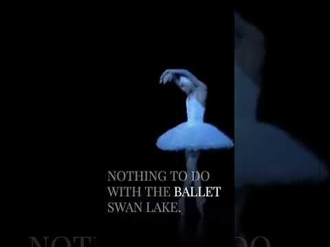 GOAT BALLERINA. BALLET STYLES COMPARED CONTINUED. ULYANA LOPATKINA #primaballerina