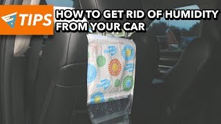 How To Get Rid of Humidity From Your Car | EZ Tips Ep28
