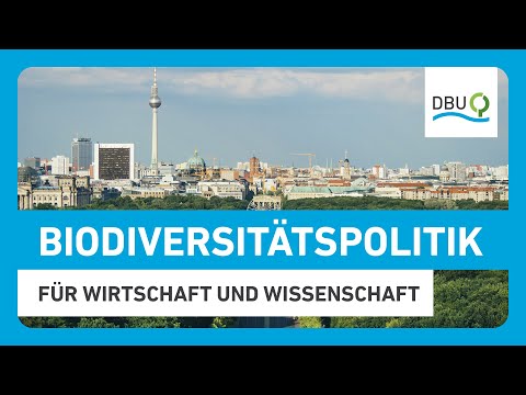 Warum Wirtschaft und Wissenschaft eine mutige Biodiversitätspolitik erwarten