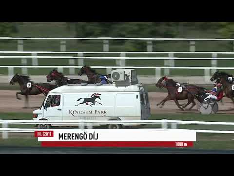 2023.08.20. 3. Futam - MERENGŐ DÍJ Autóstart!