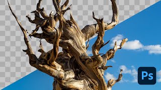 How to Remove a Background in Photoshop Tutorial 2022 #Nucly