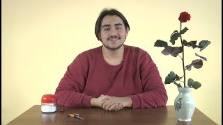 Lifehack — Троянда