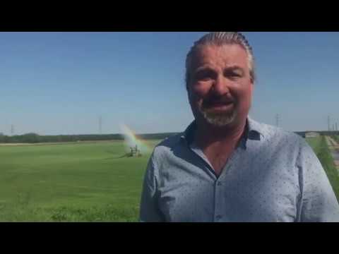 Bürgerversammlung Bauschheim - Thema „Aktueller Sachstand zur Gebietsentwicklung Eselswiese“