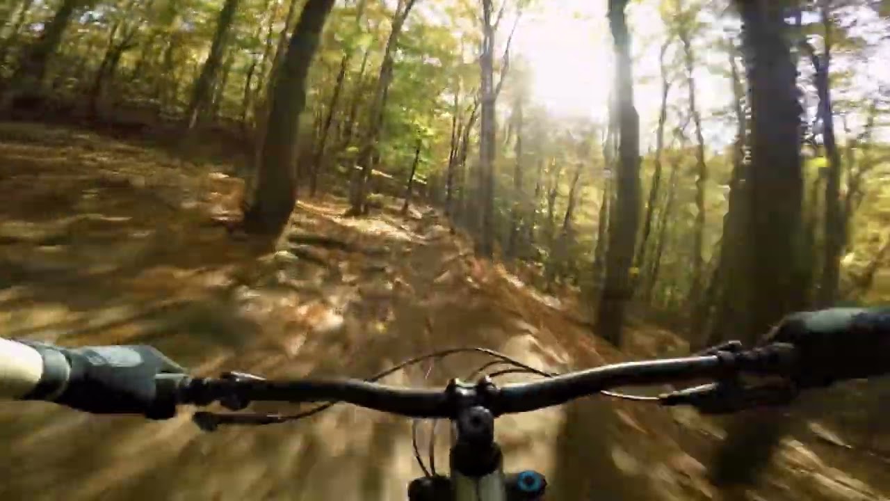 Action POV - YouTube