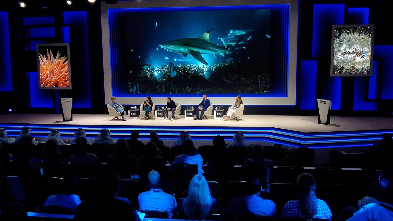 Image for the title: Youtube-Image