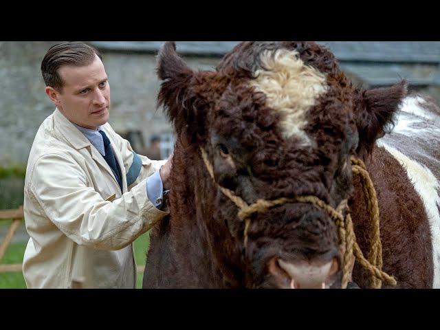 All Creatures Great and Small: Official Teaser