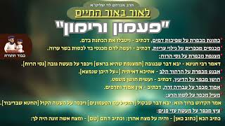 ''פעמון ורימון'' - הרב אברהם לוי שליט''א 📖לאור באור החיים📖 (פרשת פקודי) (הרב שלמה לוינשטיין) - התמונה מוצגת ישירות מתוך אתר האינטרנט יוטיוב. זכויות היוצרים בתמונה שייכות ליוצרה. קישור קרדיט למקור התוכן נמצא בתוך דף הסרטון ''פעמון ורימון'' - הרב אברהם לוי שליט''א 📖לאור באור החיים📖 (פרשת פקודי) (הרב שלמה לוינשטיין) - התמונה מוצגת ישירות מתוך אתר האינטרנט יוטיוב. זכויות היוצרים בתמונה שייכות ליוצרה. קישור קרדיט למקור התוכן נמצא בתוך דף הסרטון