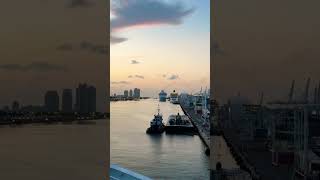 Royal Caribbean ship dock in the Miami port #mami#traval #cruiseship #cruise #famous#blog
